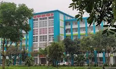 Viên Hoàng Gia xây dựng TCV truyền thông chuyên nghiệp cho Trường đại học Chu Văn An